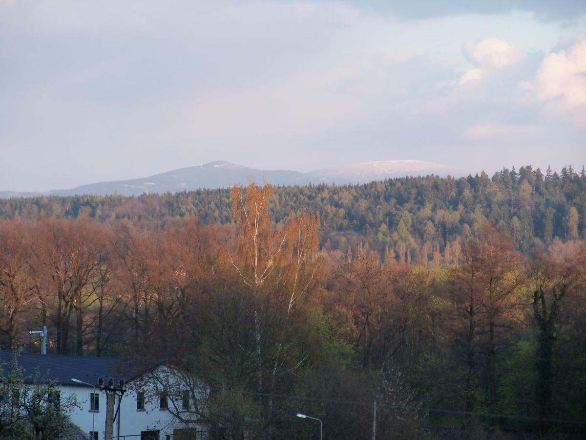 Willa Gorski Widok Bad Altheide Exterior foto